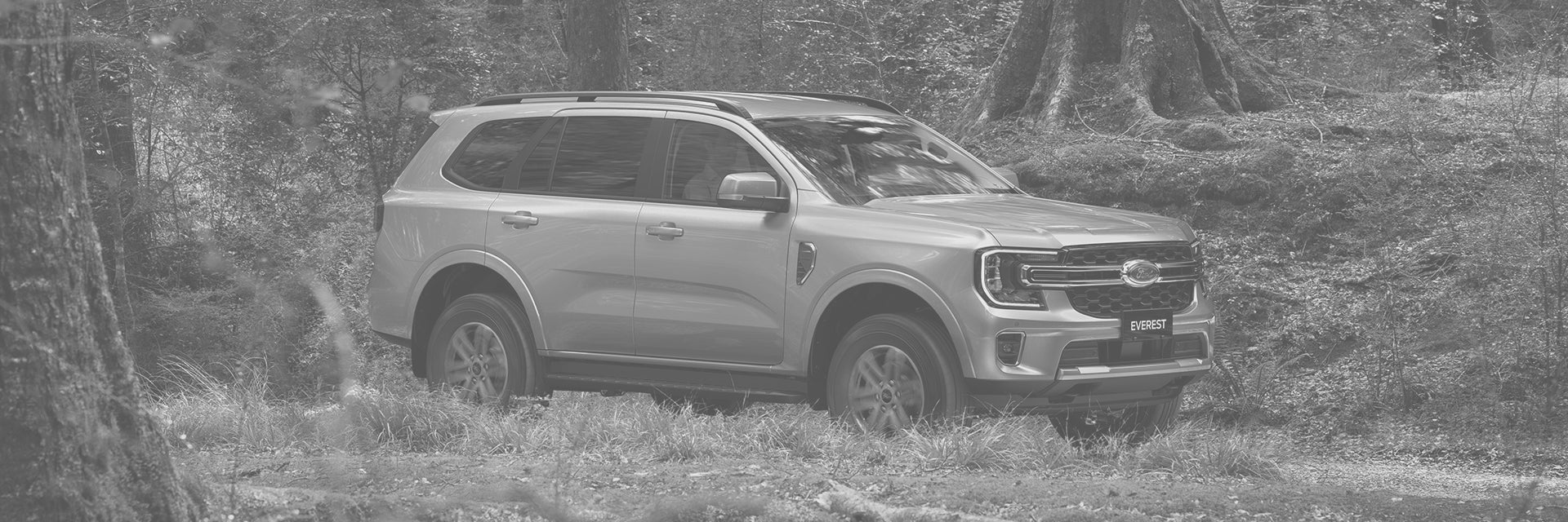 Ford Everest