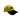 Joel Kelso Yellow Cap