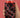 2026 Bathurst 1000 Track Can Cooler