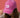 Supercars Lifestyle Pink Acid Wash Cap