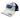 Trackhouse Ai Ogura Navy/White Cherry Blossom Cap