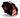 SUPERCAR SERIES UMBRELLA